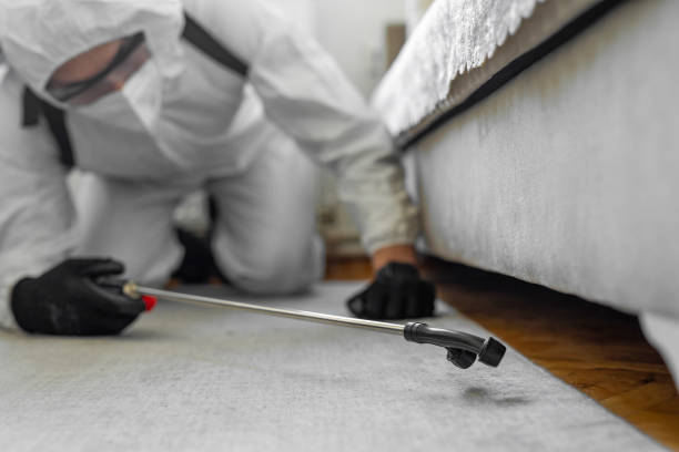 Professional Bed Bug Control technician working in Petersburg, AK