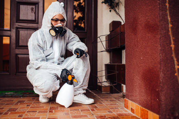 Reliable Bed Bug Control contractor in Petersburg, AK by Nex Pest Control