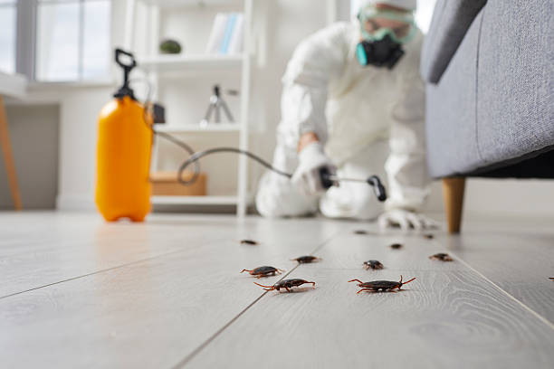Trusted Fumigation Services service in Petersburg, AK - Nex Pest Control