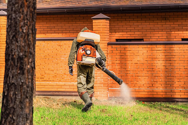 Trusted Termite Control service in Petersburg, AK - Nex Pest Control
